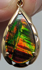 Korite Canadian Ammolite 14K