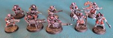 Neophyte Hybrids Painted And