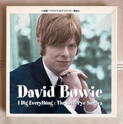 David bowie dig everything - david,