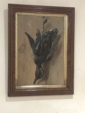 Late 19th Century Trompe L oeil Study " Teal Drake " Picture Framed