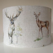 Stag Deer Forest Nature