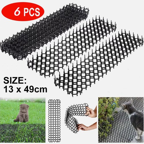 Cat scat mat - mat, spike