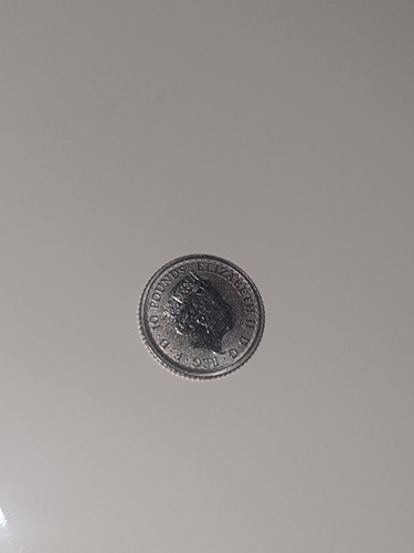 10oz platinum britannia coin - 1/10oz,