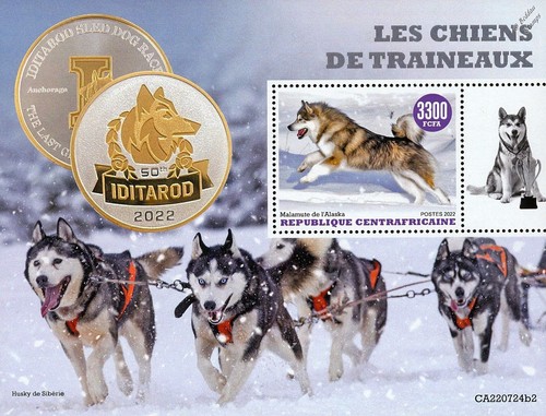 Sled dogs husky malamute - sled,