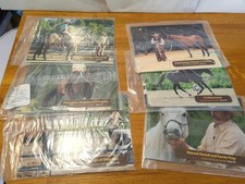 Natural Horsemanship DVDs 
