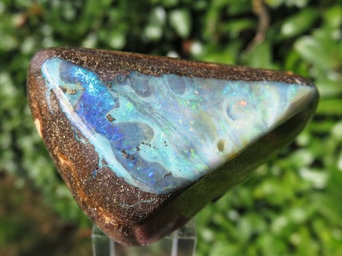 Precious blue boulder opal - boulder,