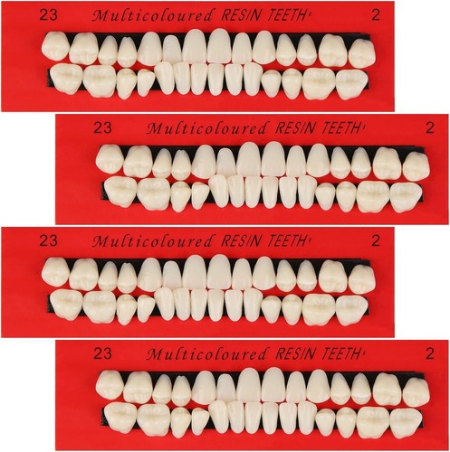 Sets acrylic resin false - 4,
