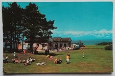 Vintage Postcard of the