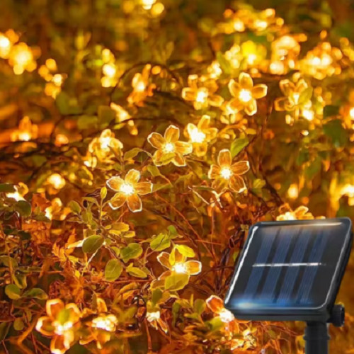 Solar cherry garden blossom - garden,