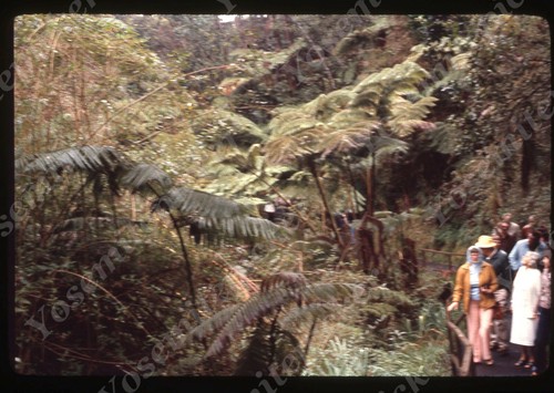 Sl89 original slide - original, 1970's