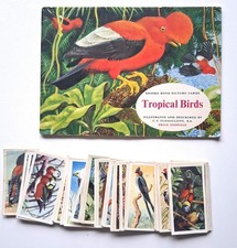 Tropical Birds Brooke Bond