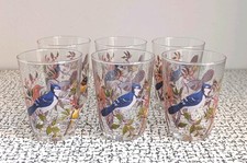 70s Vintage Retro 6 Luminarc Exotic Jay Bird Drinking Glasses Tumblers France