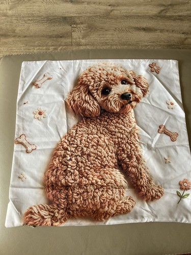 Cockapoo cavapoo brown dog - cockapoo/cavapoo,