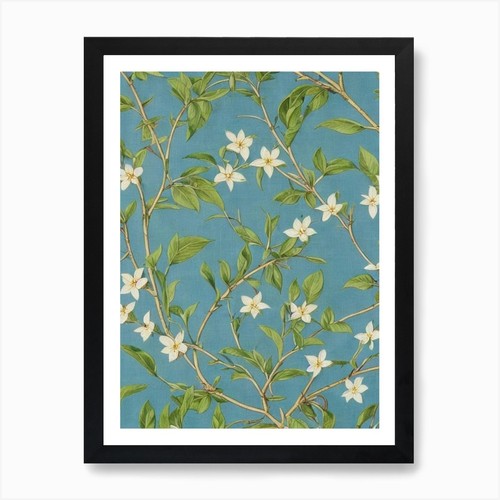 Kousa dogwood tree vintage - kousa,
