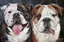 English Bulldogs Original