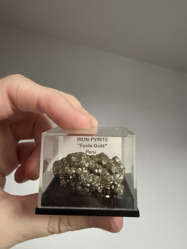 Fools gold pyrite plastic - pyrite, in