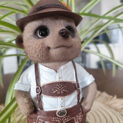 Vivid arts baby meerkat - arts, in