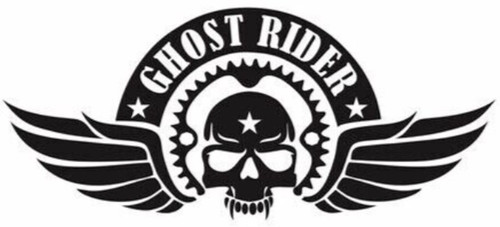 Ghost rider skull vinyl - ghost,