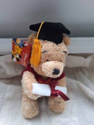 Disney pooh bear graduation - bear,