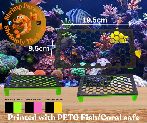 Coral frag stand - frag,