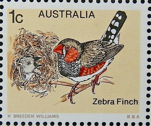 Australia 1978 sg669 birds - 1c.,
