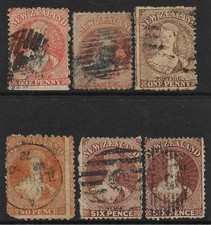 New zealand queen - new,