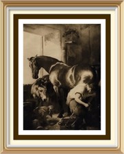 Original 1901 Antique EDWIN LANDSEER Print SHOEING THE BAY MARE Horse