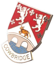 Cowbridge Town Small Pin Badge