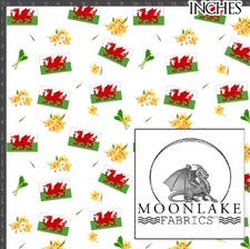 Welsh Flags Daffodils Leeks