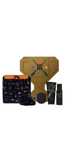 Harry potter quidditch - harry,