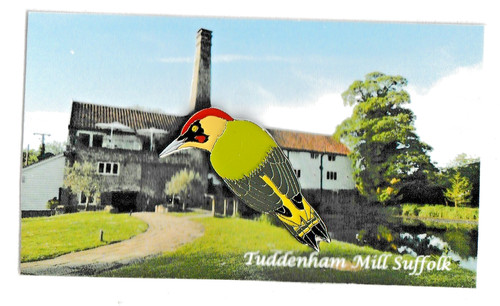 Rspb pin badge - badge,