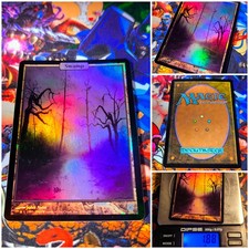 MTG Swamp 🇬🇧 EX