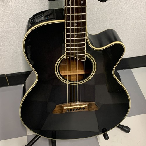 Takamine 108 acoustic - takamine,