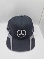 Mercedes AMG Petronas F1 Team