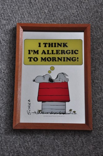 Vintage snoopy mirror 1958 - snoopy,
