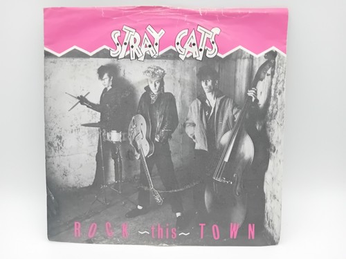 Job lot stray cats 7 - lot,
