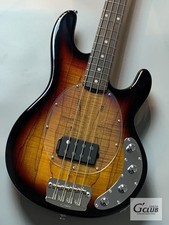 Sterling by MUSIC MAN RAY34SM