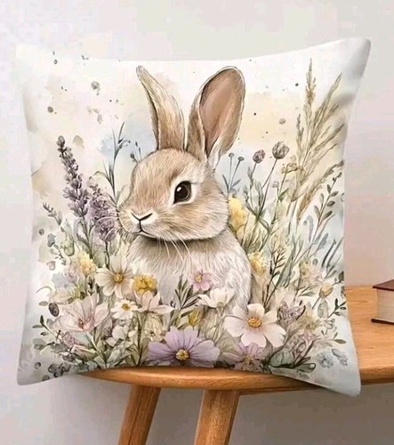 Beautiful hare rabbit - beautiful,
