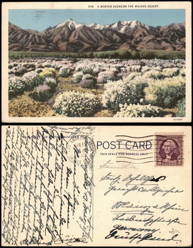 Mojave desert - desert,