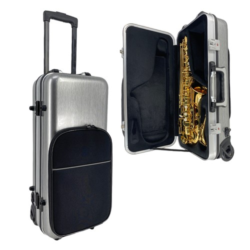 Carbon fiber alto saxophone - carbon,