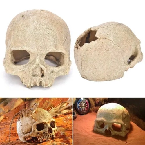 Skull design aquarium - skull,