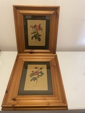 SET OF 2 FRAMED PRINTS - FLOWERS Roses PIERRE-JOSEPH REDOUTE Botanic Cottagecore