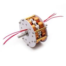 Double-Layer Disc Type Iron