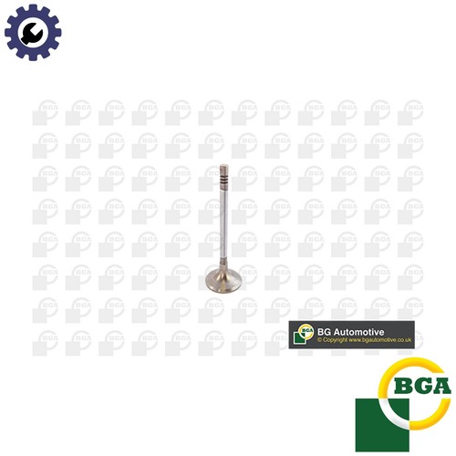 Intake valve v142049 for - 4x,