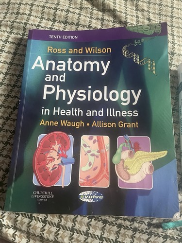 Nursing textbooks bundle for - textbooks,