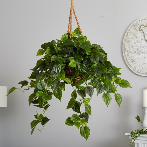 Philodendron leaf plant - 36”,