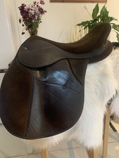 17 brown saddle