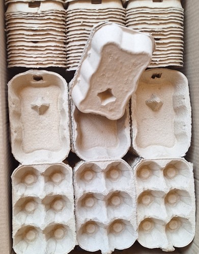 240 grey egg - egg, boxes/cartons
