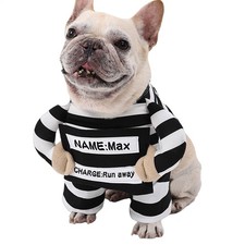 Dog Halloween Costumes Kitten