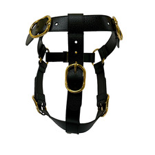 Gucci Leather Pet Harness For